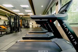 hif386.com-1-800x532