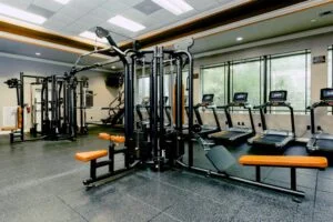 hif386.com-2-800x532