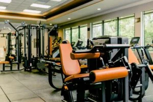 hif386.com-6-800x532